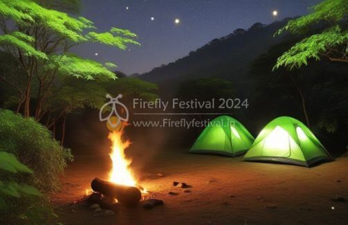 logo firefly festival bhandardara maharashtra